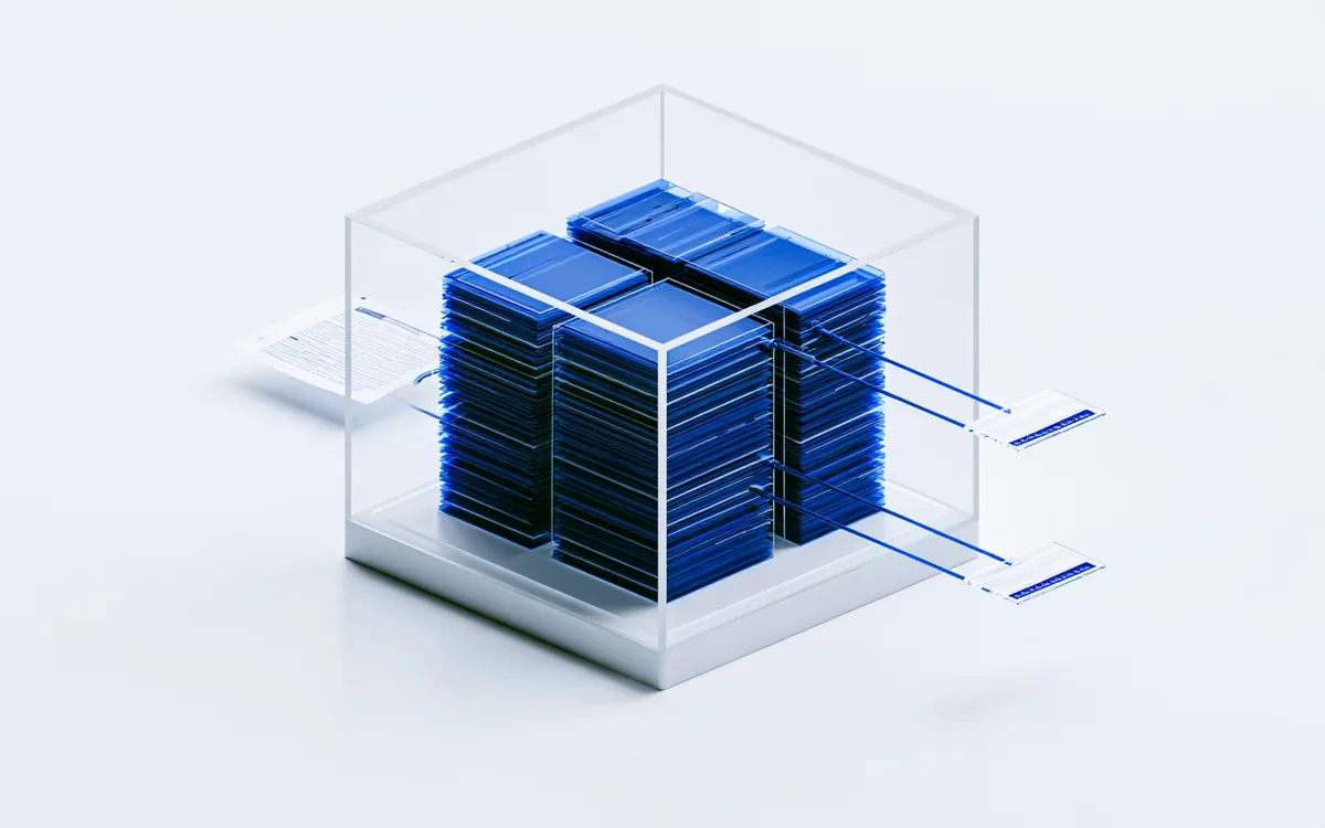 Spatial render: one dense company register in a minimal frame
